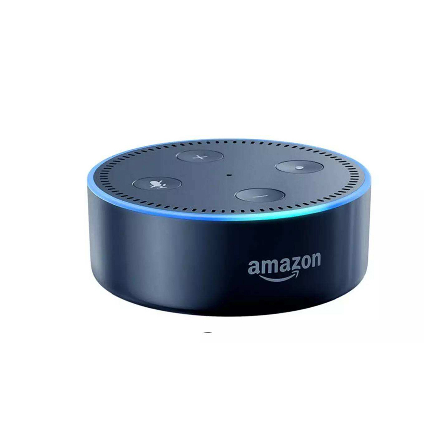 How to connect smartlife with amazon echo in iPad