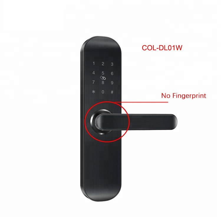 WiFi Door Lock COL-DL01W install