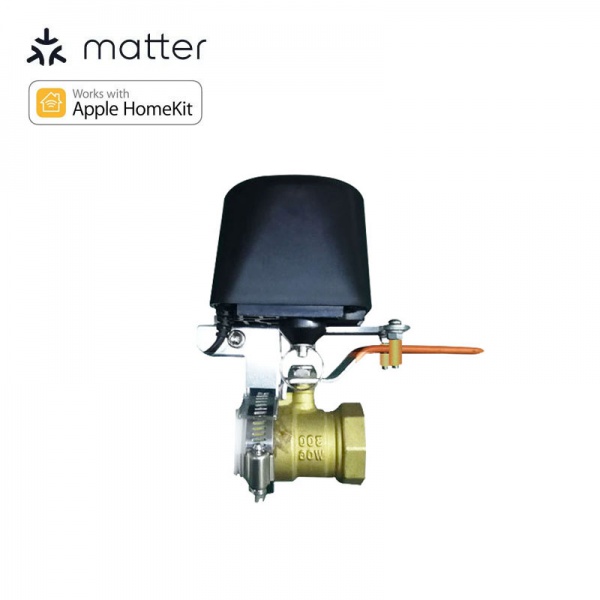 Matter Valve Controller
